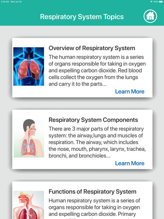 Anatomy : Respiratory Systemのおすすめ画像6