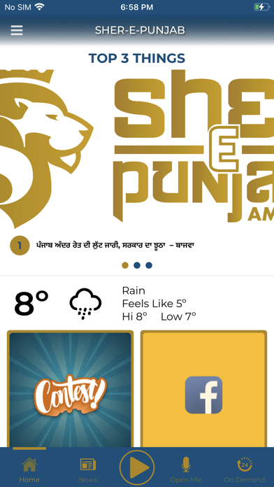 Sher-E-Punjab Radio Screenshot
