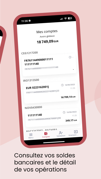 THEMIS BANQUE Screenshot