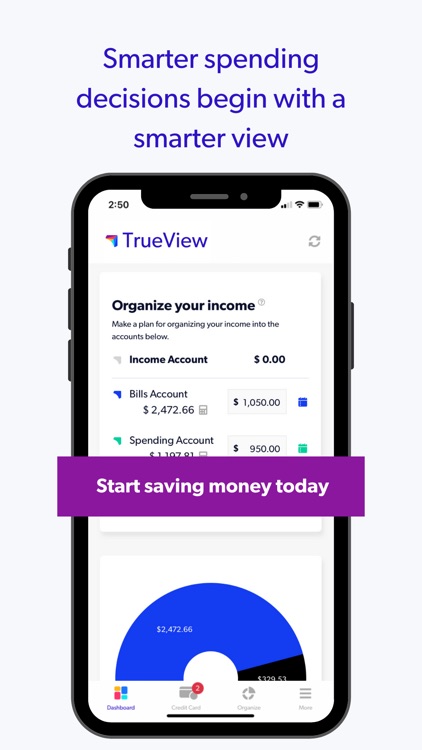 TrueView:Crazy Simple CashFlow