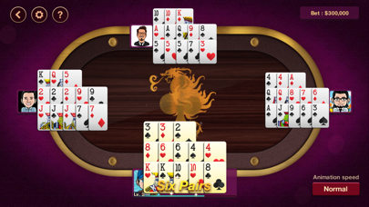 Chinese Poker - Pusoy Offline Screenshot