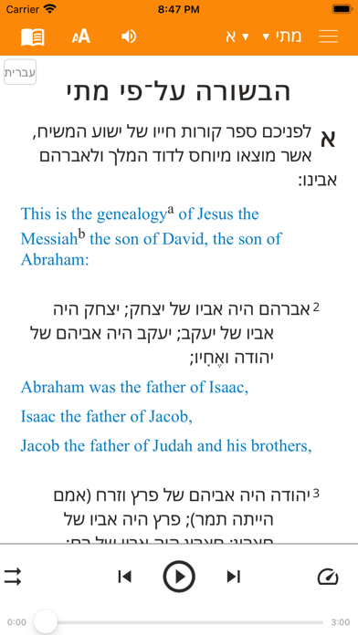 Hebrew New Testament Bible Screenshot