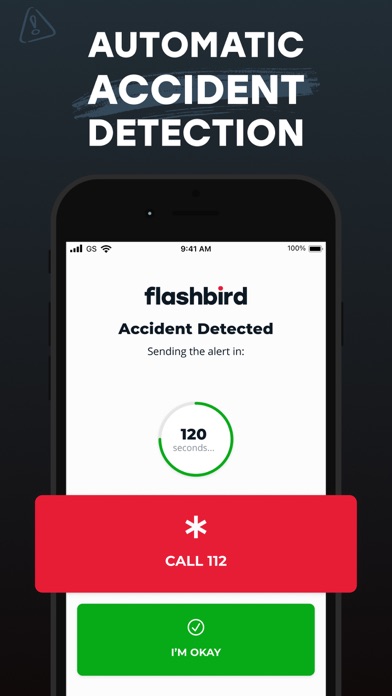 Flashbird (by Pegase) Screenshot