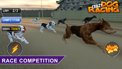 Crazy Dog Racing -Dog Games Screenshot