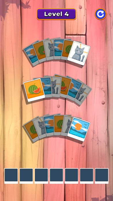Photo Match! Screenshot