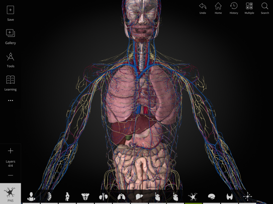 Anatomyka iPad screenshot 4 - Medical app