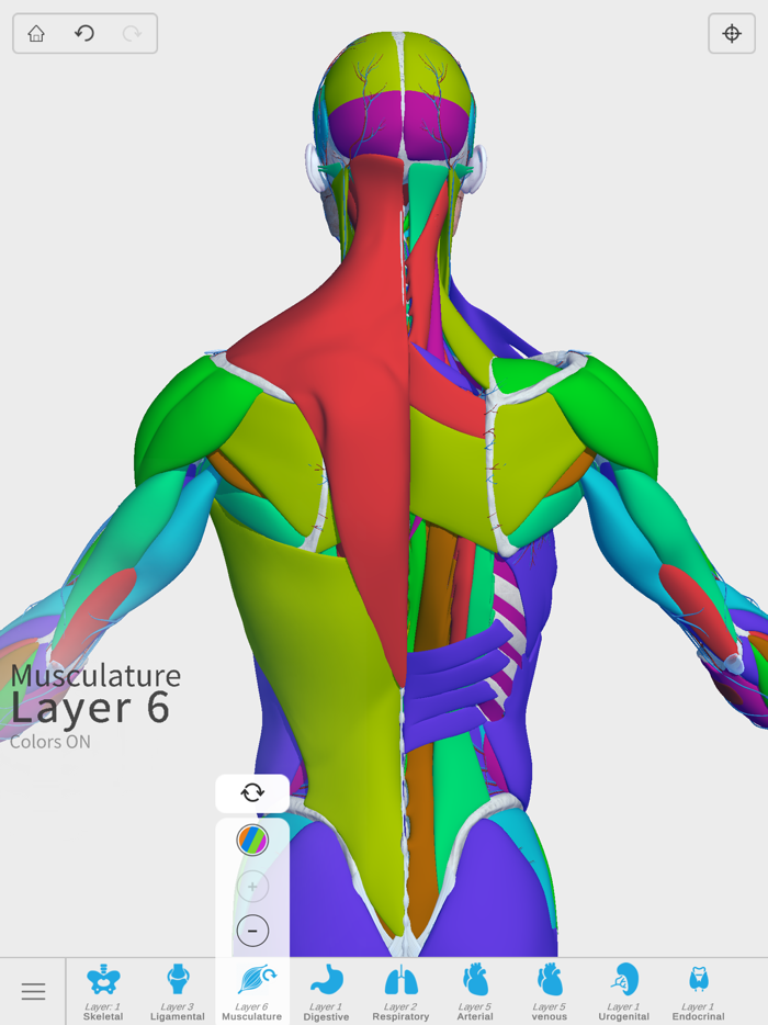 Visual Anatomy 3D - Human