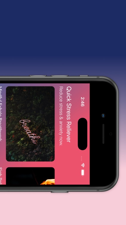 Flourish screenshot-4