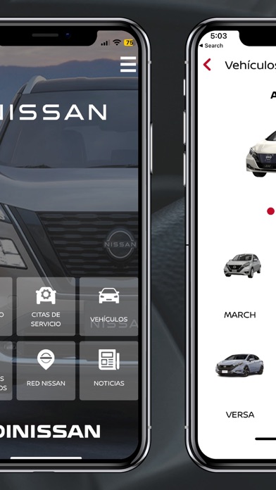 DINISSAN Screenshot
