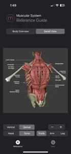 Muscle Study Guide screenshot #1 for iPhone