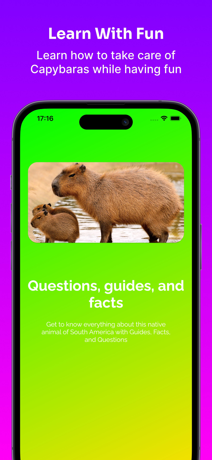Capybara Care Guide and Fun
