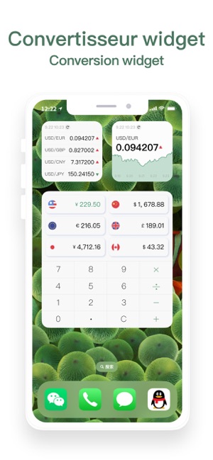 Convertisseur monnaie dans l'App Store