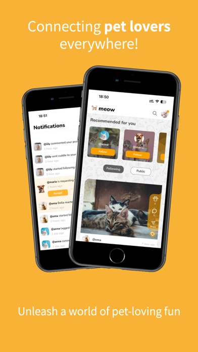 Petigo - Connecting pet lovers Screenshot
