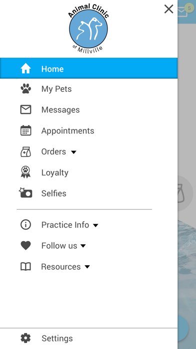 Millville Vet Screenshot
