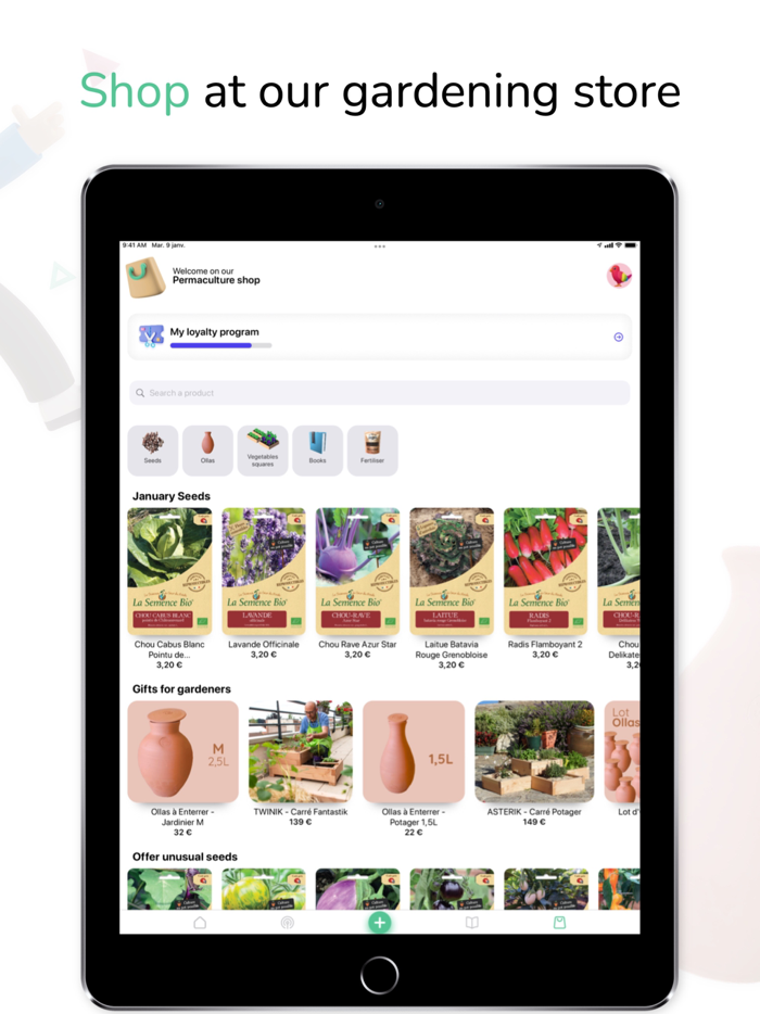 Tomate and Basilic- Permaculture