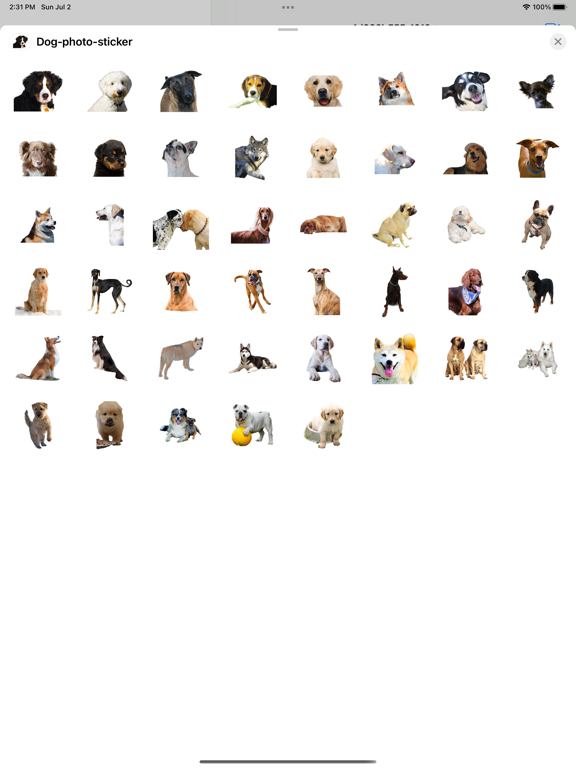 Screenshot #4 pour Chien photo autocollant