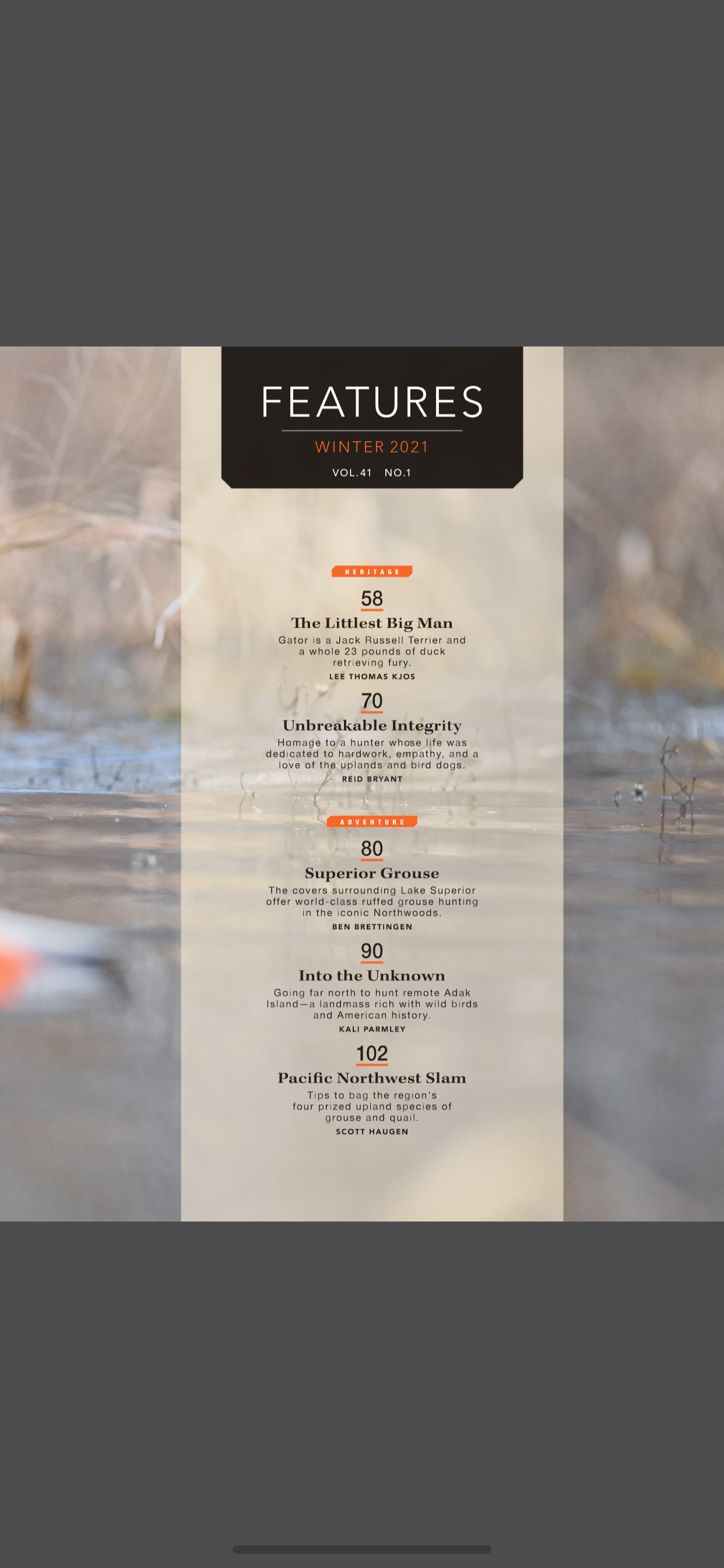 Gun Dog Magazine