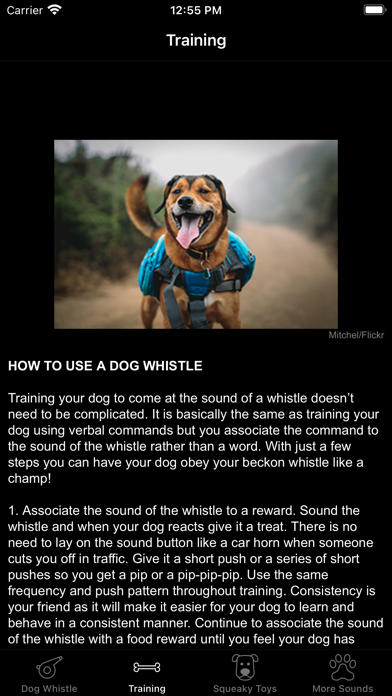 Dog Whistle & Squeaky Toy Screenshot