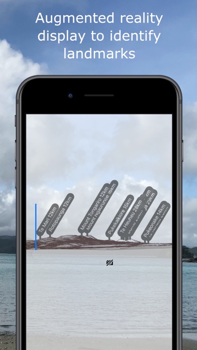 NZ Charts Screenshot