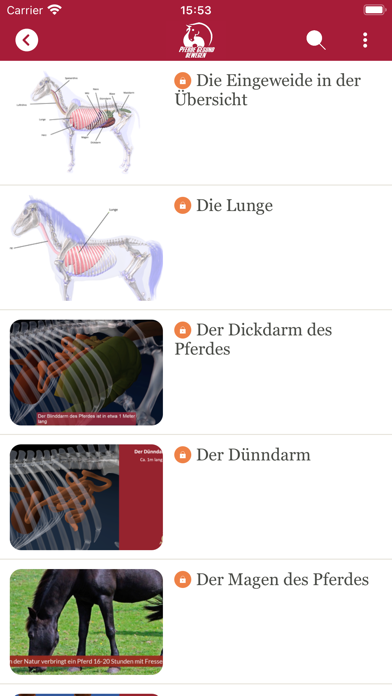 Pferde gesund bewegen Screenshot