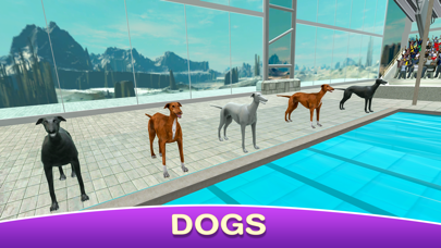 Dog Swimming Raceのおすすめ画像1