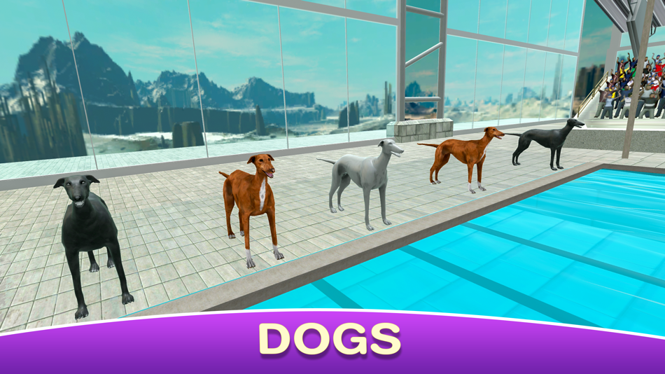 Dog Swimming Race - 1.1 - (iOS)