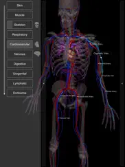 3d human anatomy introduction ipad images 3