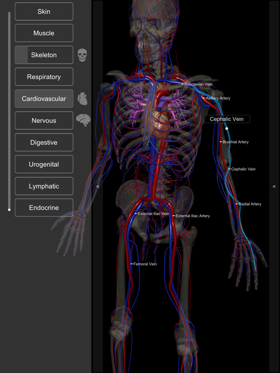 Screenshot #6 pour Introdução Anatomia Humana 3D