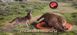 Game screenshot Wolf Game: Wild Animal Wars apk