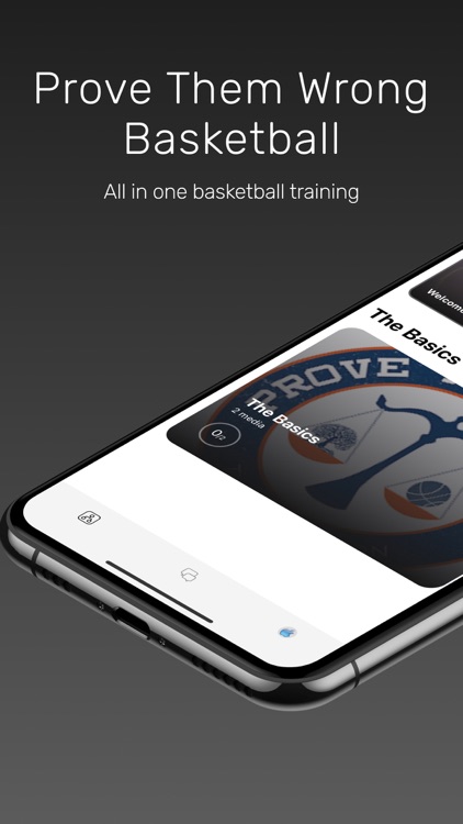 Prove Them Wrong Basketball