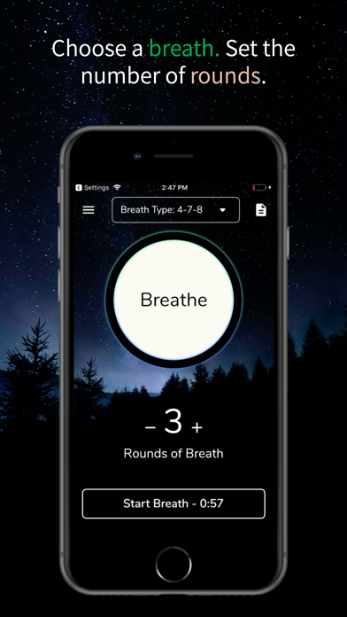 Mana Verse: Breath Practices Screenshot