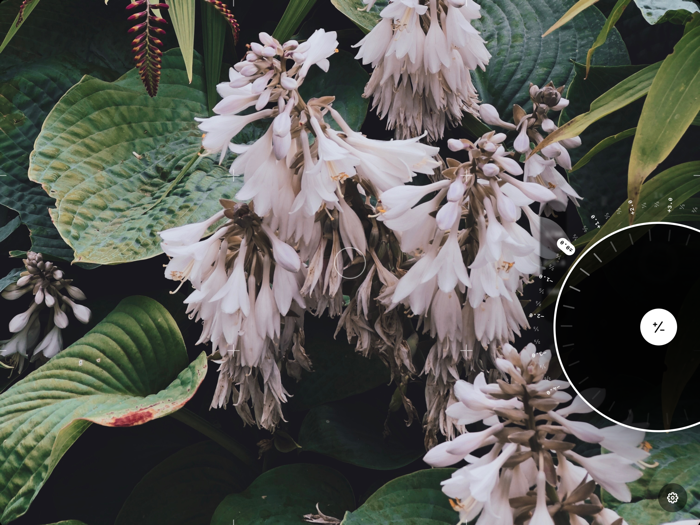 Obscura — Pro Camera