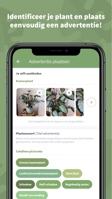 Plantigo Screenshot