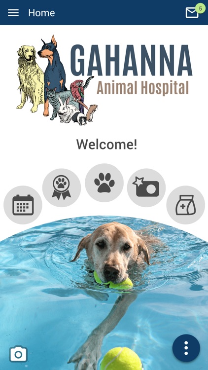 Gahanna Animal Hospital