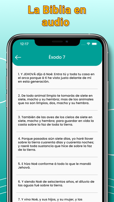 Spanish Audio Bible Screenshot