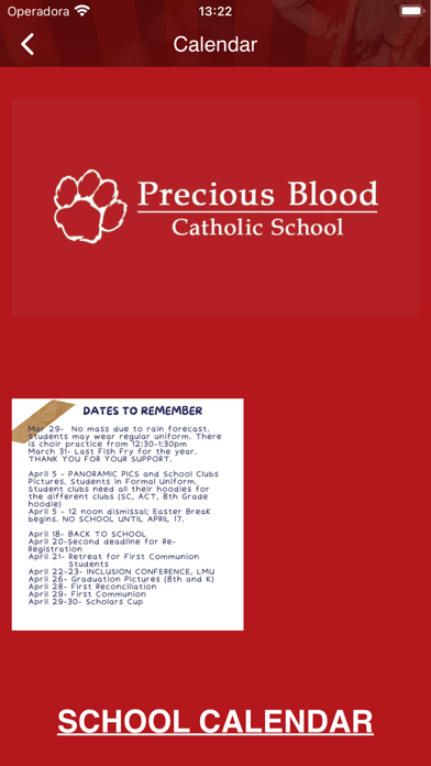 Precious Blood School Screenshot