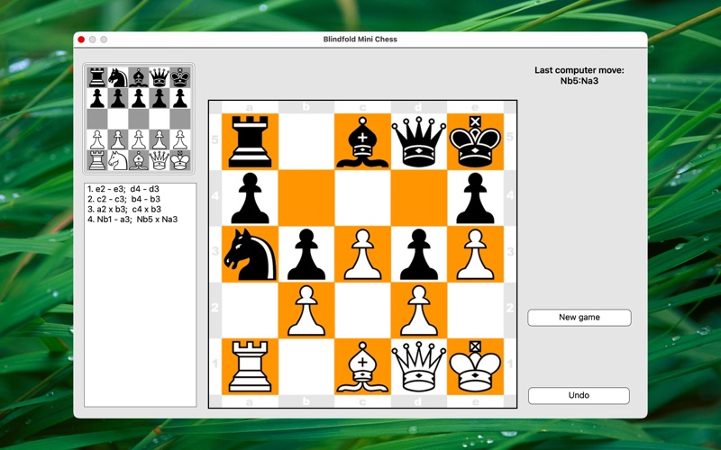 blindfold mini chess iphone screenshot 1