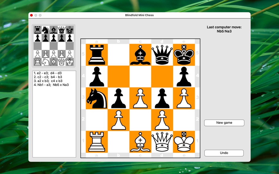 Blindfold Mini Chess - 5.1 - (macOS)