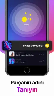 müzik dinle internetsiz indir iphone resimleri 4
