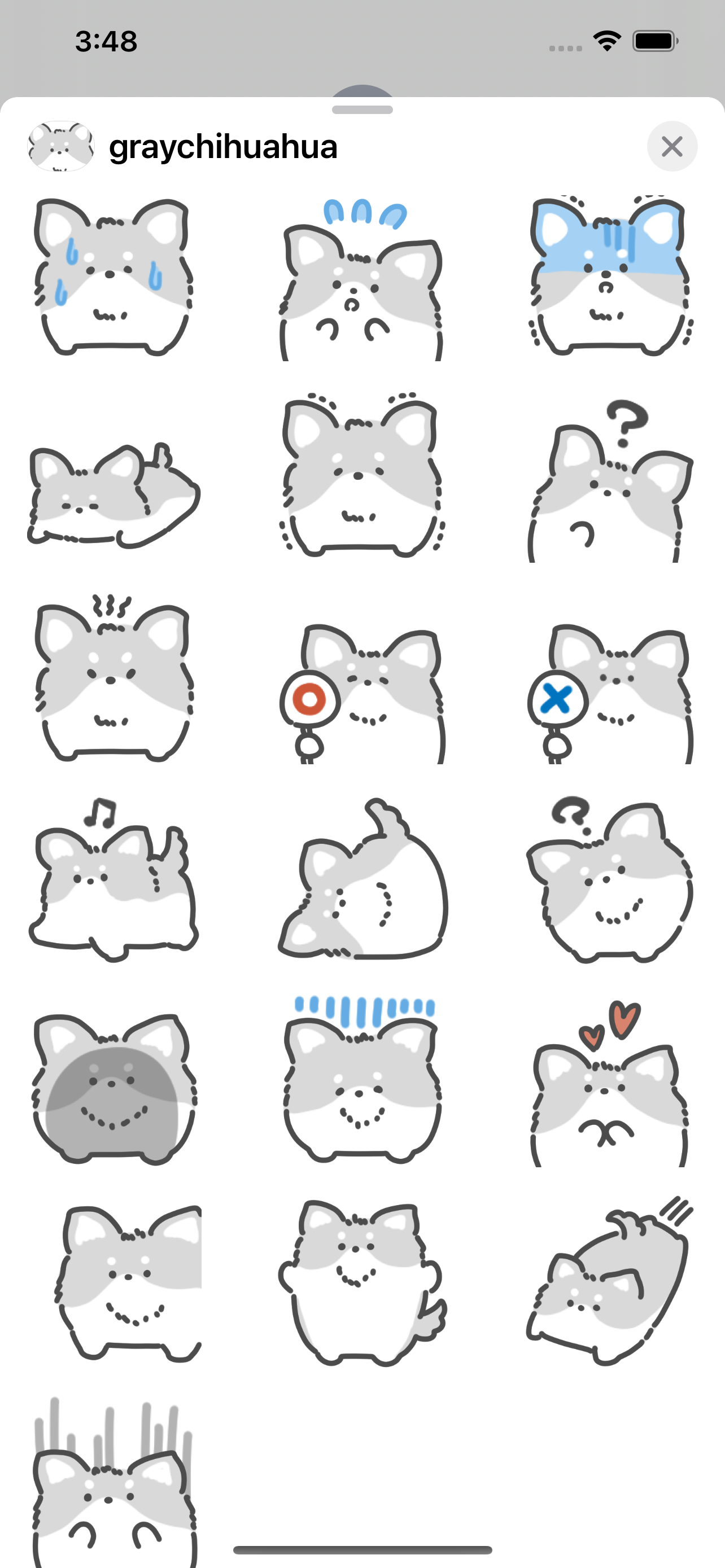 gray chihuahua sticker