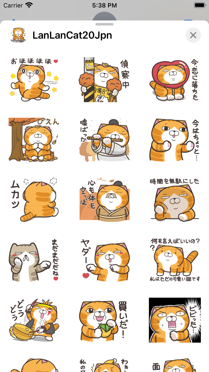 ランラン猫 20 JPN