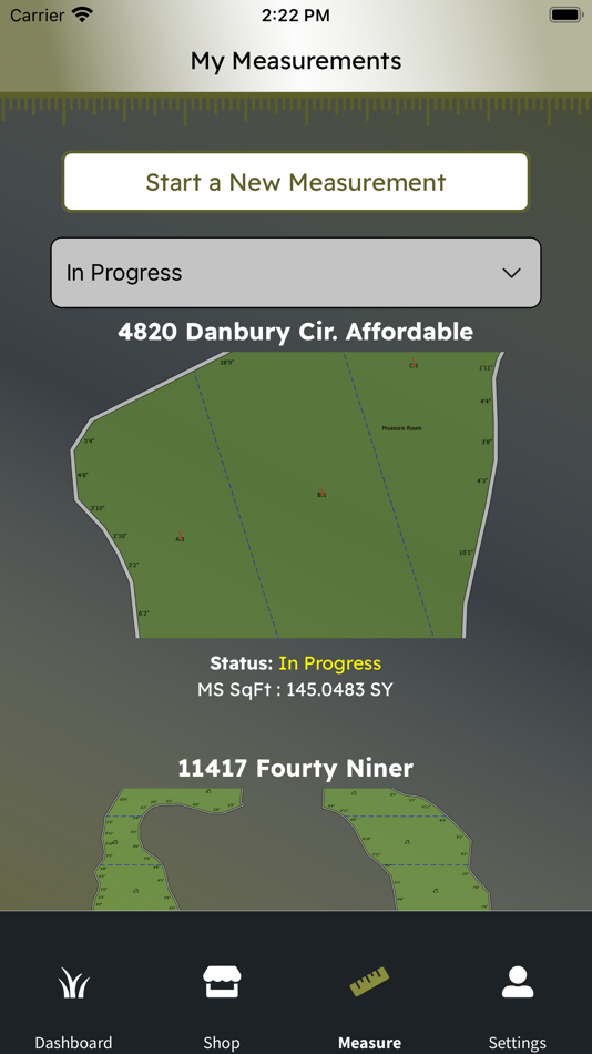 #2. SynTurf Pro (iOS) 由: Cameron Pongs