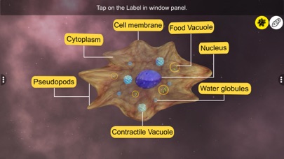 Screenshot 3 of Learn Protozoa App