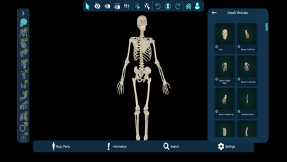 Vesalii Anatomy Student Screenshot