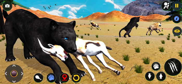 Wild Black Panther Furious Sim