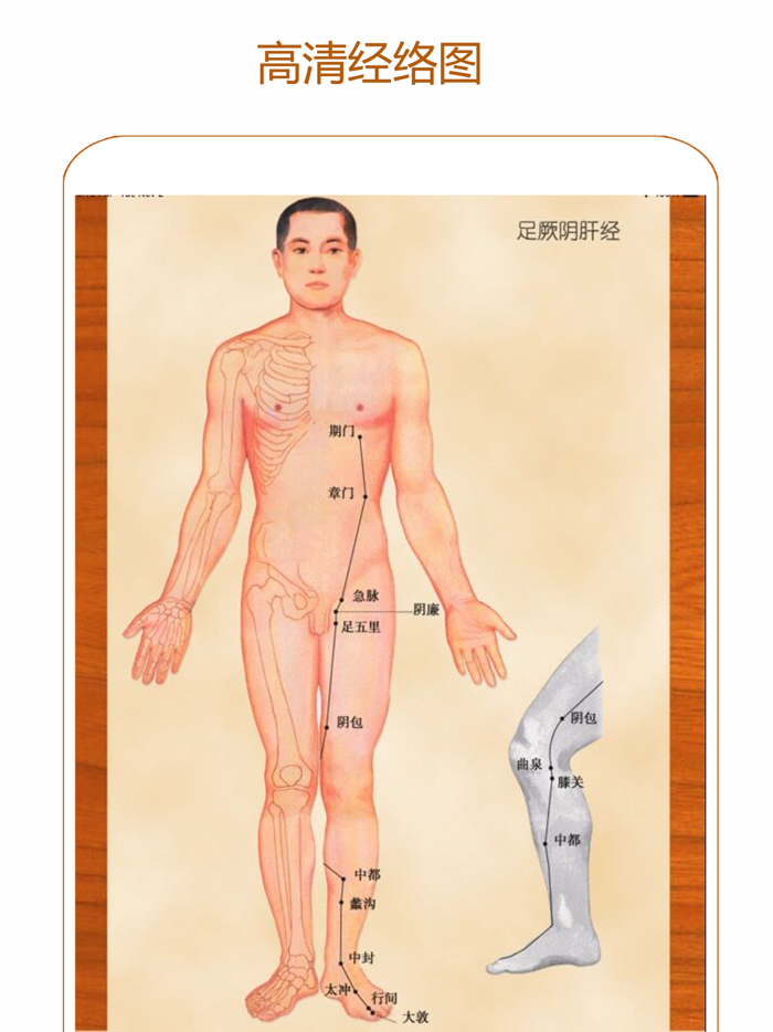 经络养生-人体穴位大全