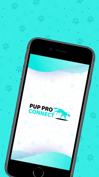 Pup Pro Connect & Dog Training