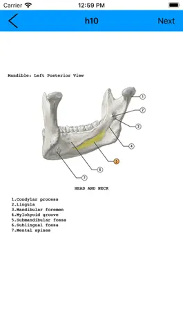 Game screenshot Anatomy Flashcard hack