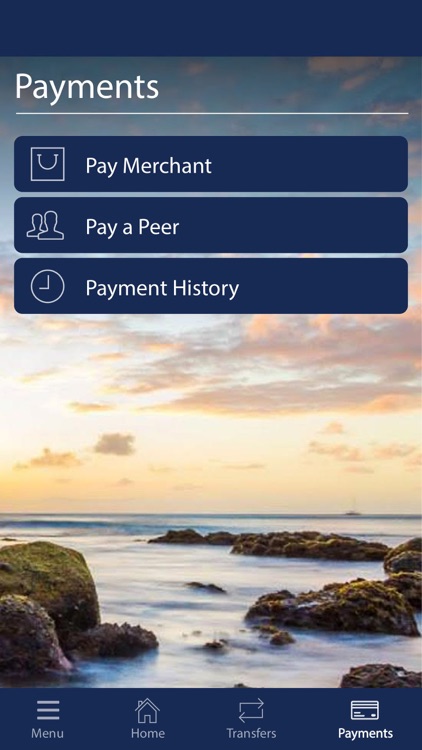 1st National Bank screenshot-4