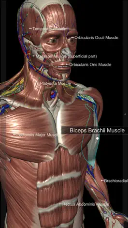 Game screenshot 3D Human Anatomy Introduction hack